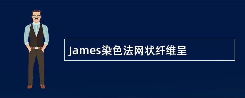 James染色法网状纤维呈