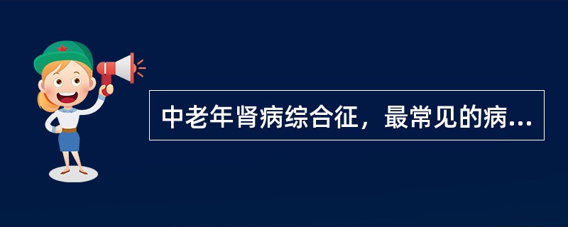 中老年肾病综合征，最常见的病理类型是