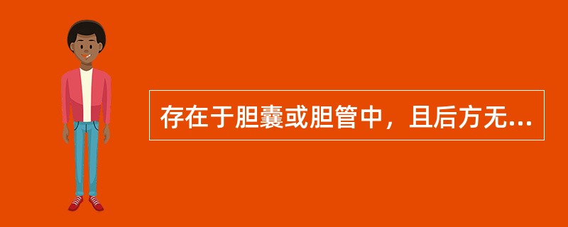 存在于胆囊或胆管中，且后方无声影的回声团不可能为（）