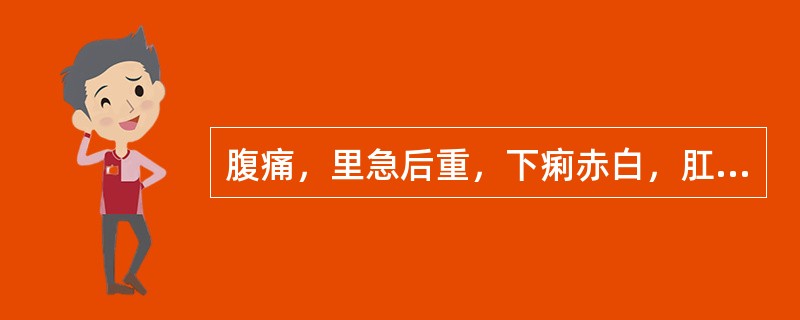 腹痛，里急后重，下痢赤白，肛门灼热，小便赤涩，苔黄腻，脉滑数