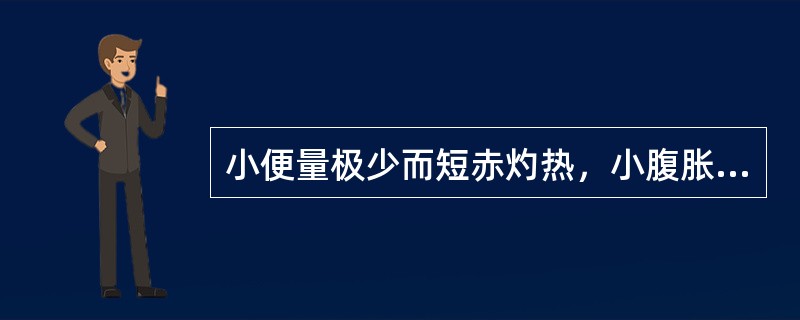 小便量极少而短赤灼热，小腹胀满，口苦口黏，舌质红，苔黄腻，脉数。治宜首选的治法是（）