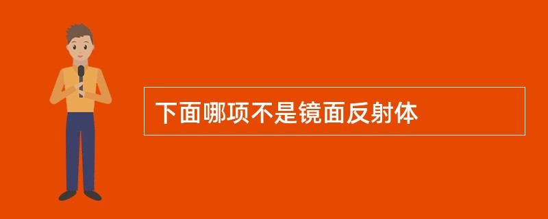 下面哪项不是镜面反射体