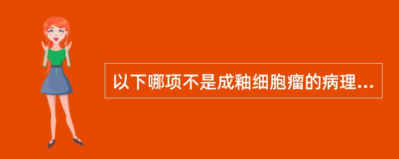 以下哪项不是成釉细胞瘤的病理特征