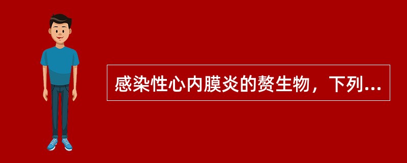 感染性心内膜炎的赘生物，下列哪项说法是错误的（）