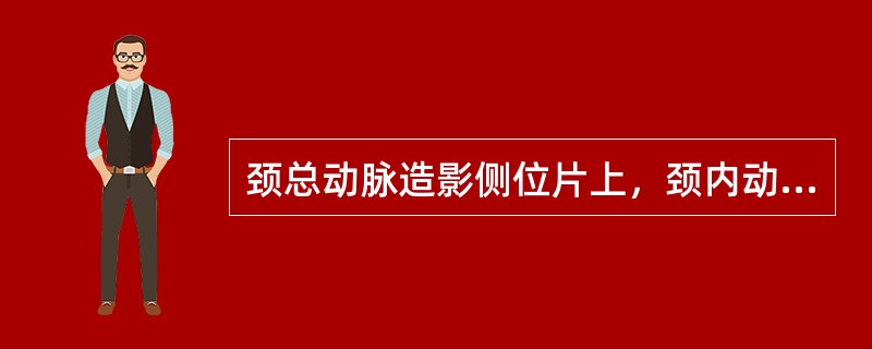 颈总动脉造影侧位片上，颈内动脉起始段常位于颈外动脉的