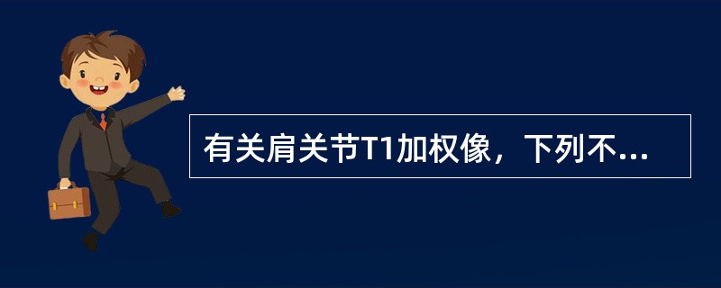 有关肩关节T1加权像，下列不正确的是