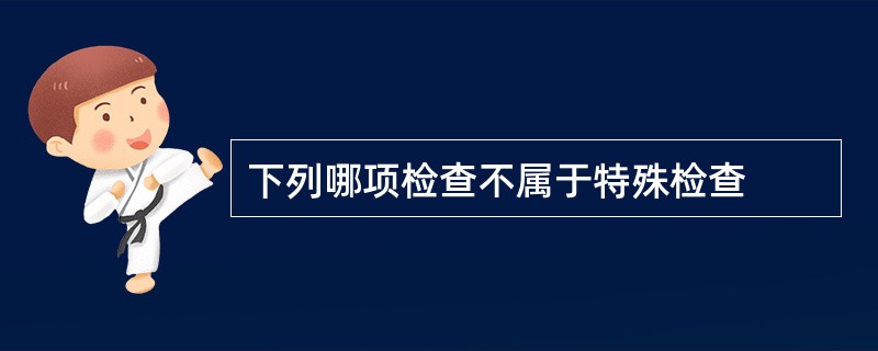 下列哪项检查不属于特殊检查