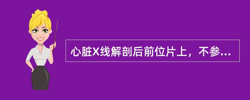 心脏X线解剖后前位片上，不参与构成左心缘的有