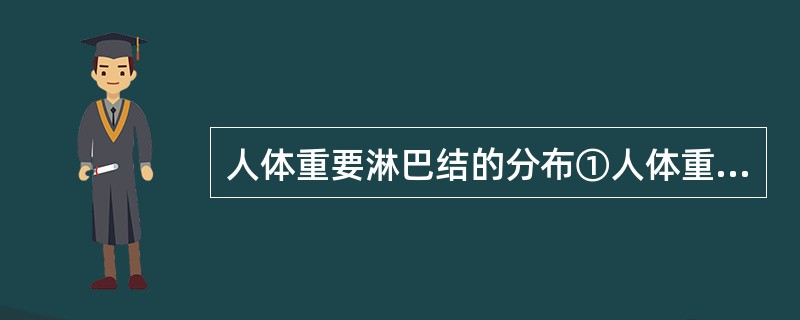 人体重要淋巴结的分布①人体重要淋巴结分布在人体全身各部位区域②淋巴结一般为集合群，分布在身体特定区域③人体重要淋巴结分布在胸腹颈部腹股沟区④人体重要淋巴结分布在颈、腋窝、纵隔、腹主动脉、髂、腹股沟和咽