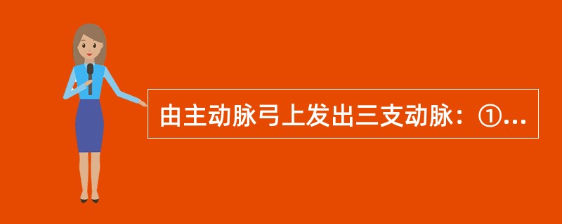 由主动脉弓上发出三支动脉：①头臂干、②左侧颈总动脉、③左侧锁骨下动脉，其自右向左的顺序正确的是