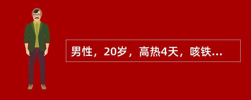 男性，20岁，高热4天，咳铁锈色痰。查体：左肺上部叩诊呈实音，呼吸音弱。其胸片表现最可能是（）