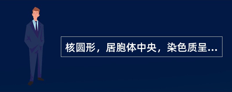 核圆形，居胞体中央，染色质呈块状，核仁消失，胞质呈嗜多色性，该特征符合