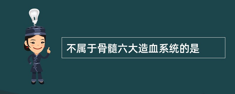 不属于骨髓六大造血系统的是