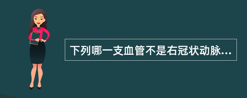 下列哪一支血管不是右冠状动脉的分支