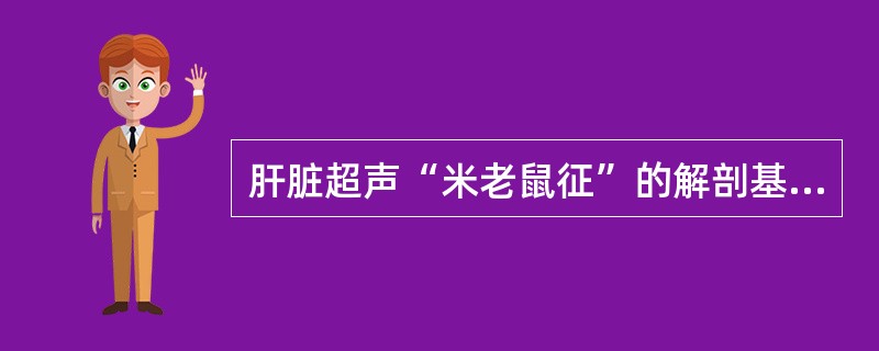 肝脏超声“米老鼠征”的解剖基础是