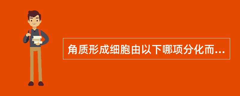 角质形成细胞由以下哪项分化而来（）