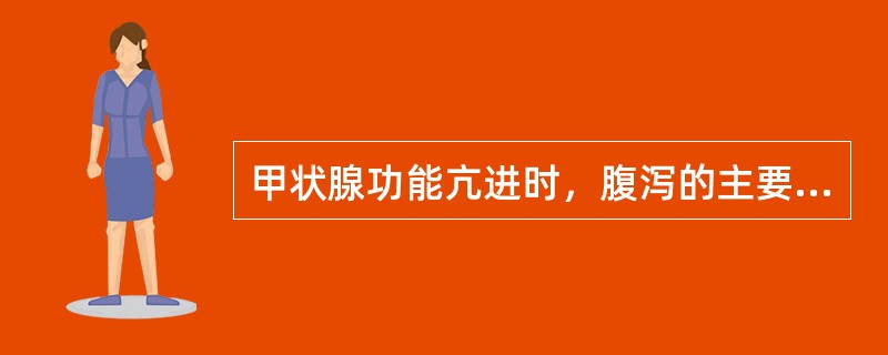 甲状腺功能亢进时，腹泻的主要发生机制是