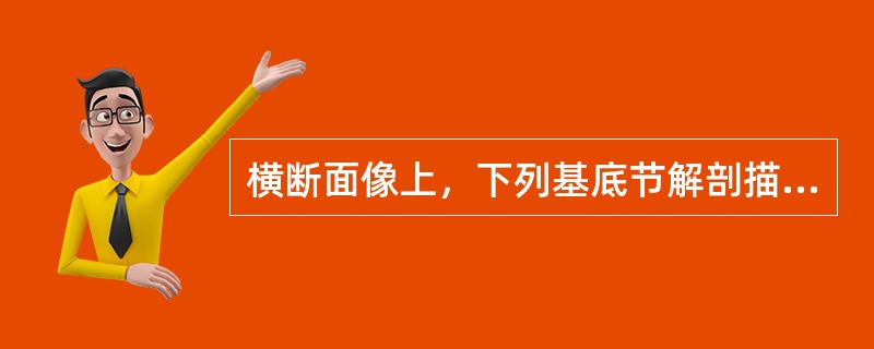 横断面像上，下列基底节解剖描述中哪项不对