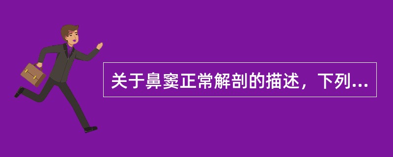 关于鼻窦正常解剖的描述，下列哪项不正确