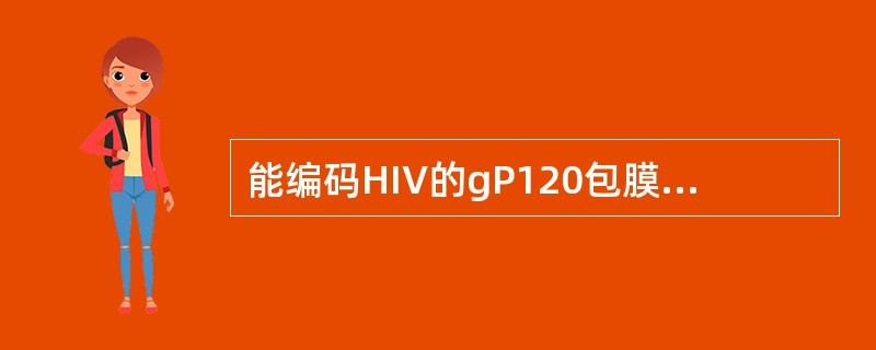 能编码HIV的gP120包膜蛋白基因是