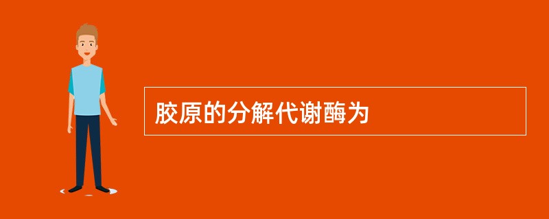 胶原的分解代谢酶为