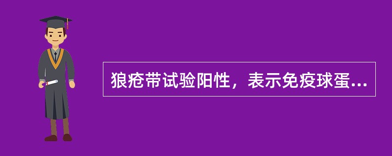 狼疮带试验阳性，表示免疫球蛋白及补体沉积在