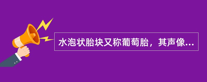 水泡状胎块又称葡萄胎，其声像图特征是：①子宫大于孕周；②宫腔内充满大小不等的液性暗区，间以强度不等的高回声，呈蜂窝状改变；③通常宫内不能发现胎儿、胎盘；④宫旁有时可见囊性肿块