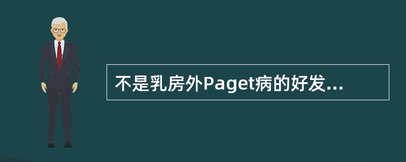 不是乳房外Paget病的好发部位的是