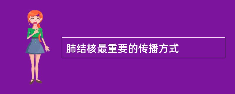 肺结核最重要的传播方式
