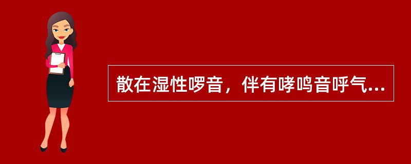 散在湿性啰音，伴有哮鸣音呼气相延长（）