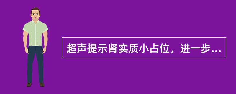 超声提示肾实质小占位，进一步检查应首选