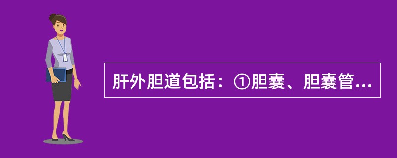 肝外胆道包括：①胆囊、胆囊管；②肝总管；③胆总管；④胰管