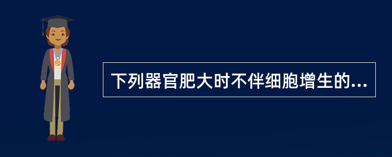下列器官肥大时不伴细胞增生的是：