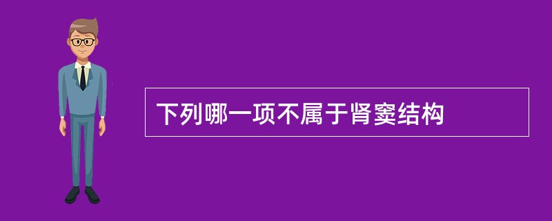 下列哪一项不属于肾窦结构