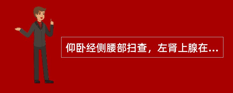 仰卧经侧腰部扫查，左肾上腺在脾、肾、腹主动脉之间查找。