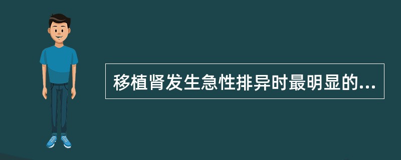 移植肾发生急性排异时最明显的征象是（）