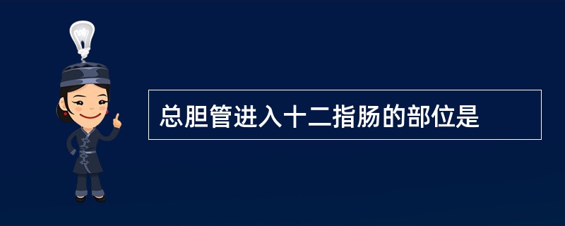 总胆管进入十二指肠的部位是