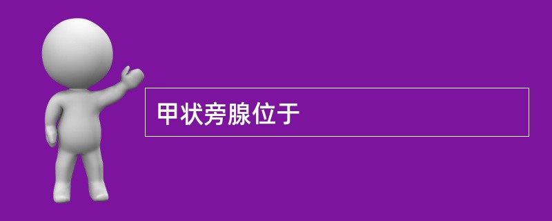 甲状旁腺位于