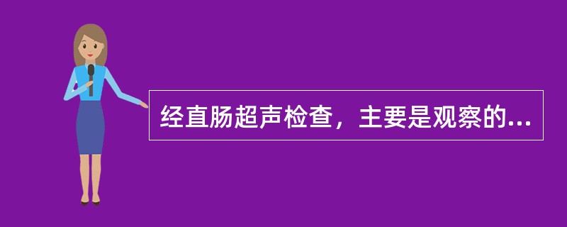 经直肠超声检查，主要是观察的病变