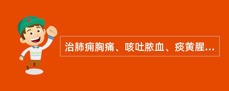 治肺痈胸痛、咳吐脓血、痰黄腥臭之证，应选用（）