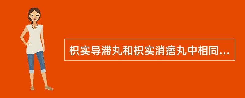 枳实导滞丸和枳实消痞丸中相同的药是