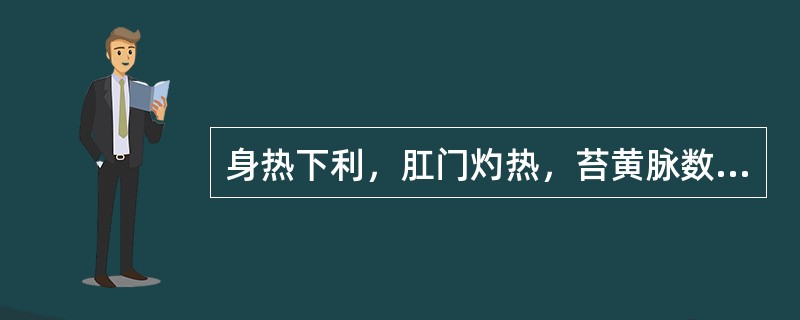 身热下利，肛门灼热，苔黄脉数，治宜