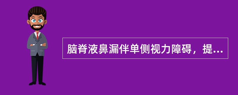 脑脊液鼻漏伴单侧视力障碍，提示瘘孔位于：