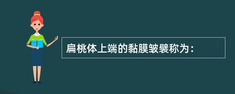 扁桃体上端的黏膜皱襞称为：