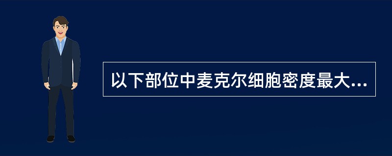 以下部位中麦克尔细胞密度最大的是（）