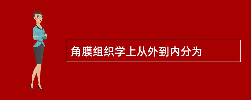 角膜组织学上从外到内分为