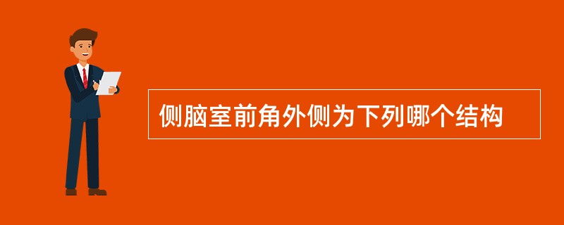 侧脑室前角外侧为下列哪个结构