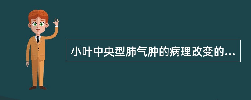 小叶中央型肺气肿的病理改变的特点是（）