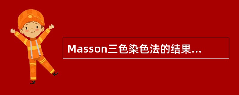 Masson三色染色法的结果正确的是