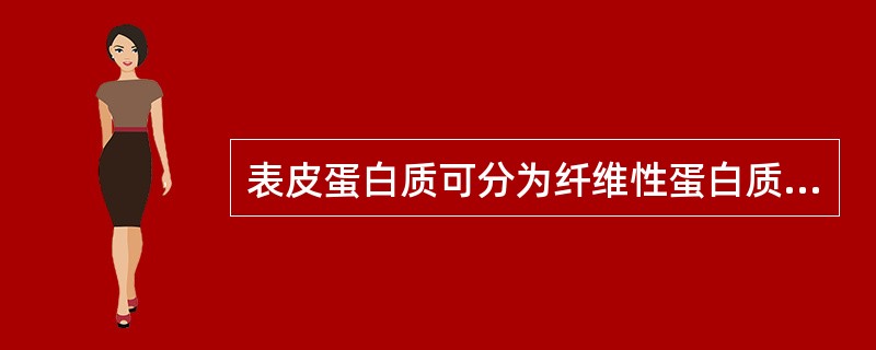 表皮蛋白质可分为纤维性蛋白质和非纤维性蛋白质，以下不属于纤维性蛋白质的是